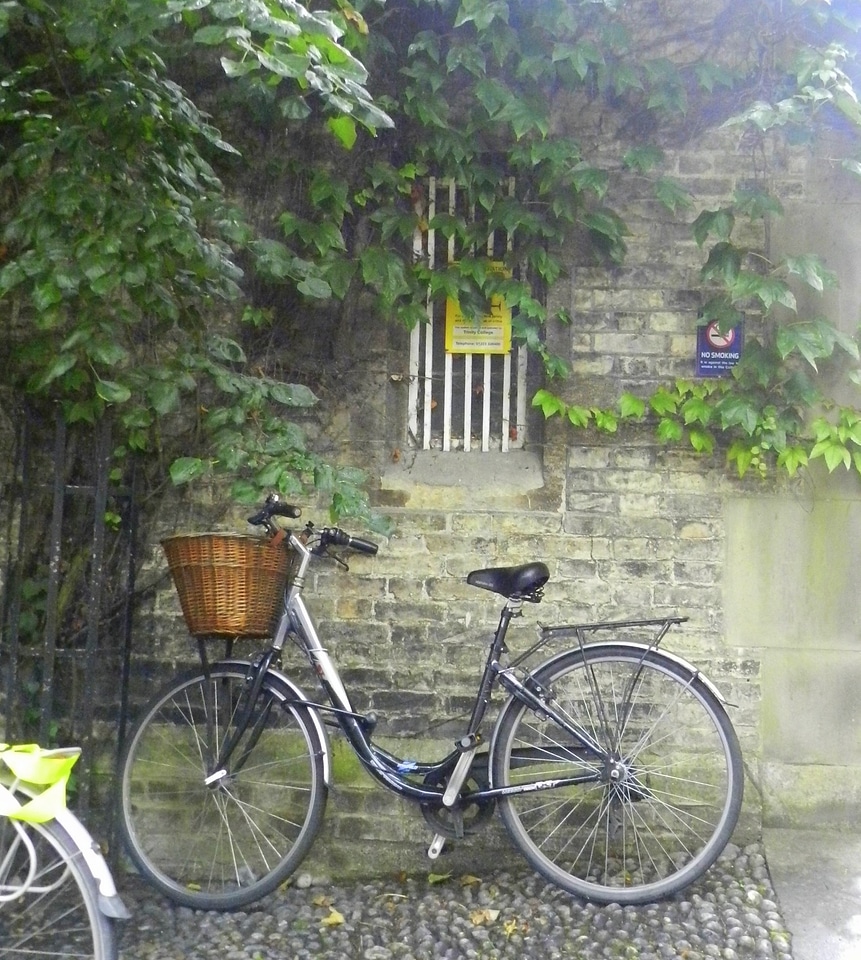 Bicycle rainy day rain