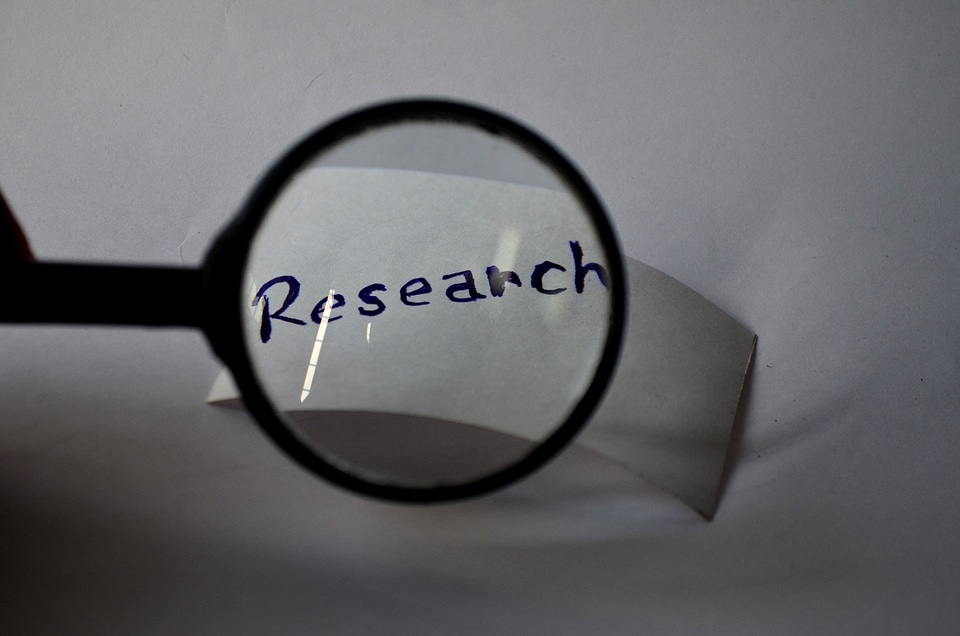 Search information discovery