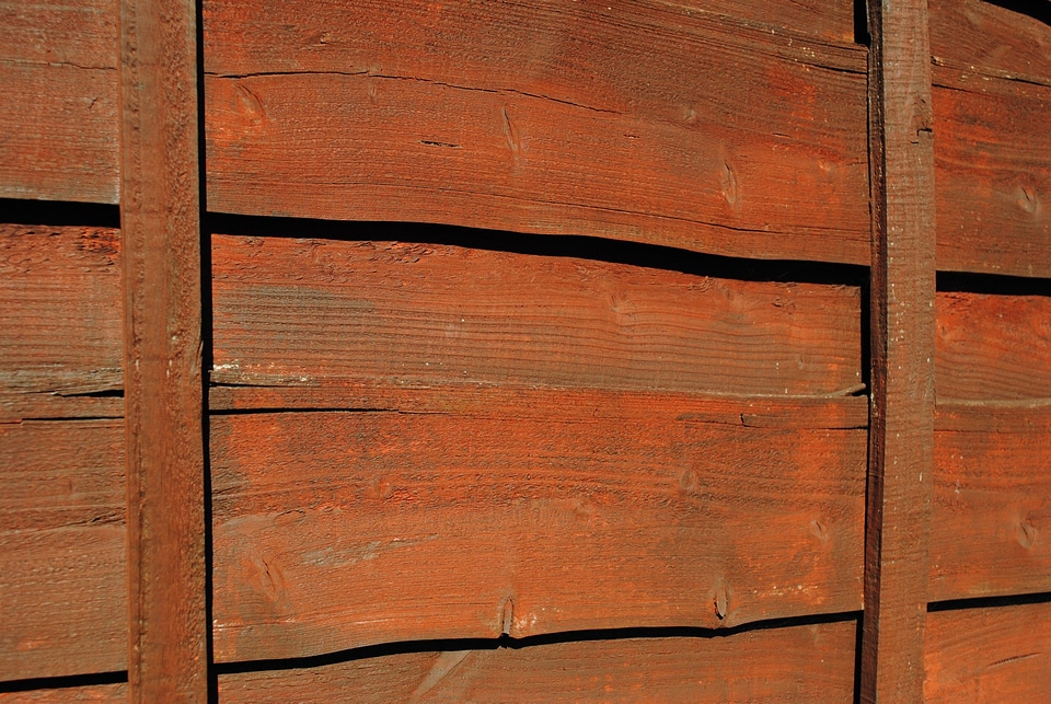 Wood background still-life