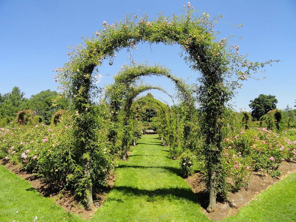 Outside garden trellis