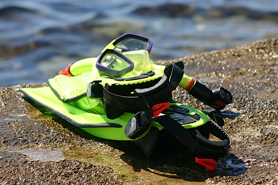 Mask flippers gear