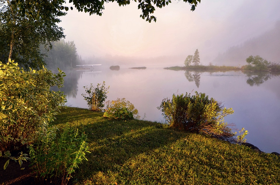 Morning fog calm photo