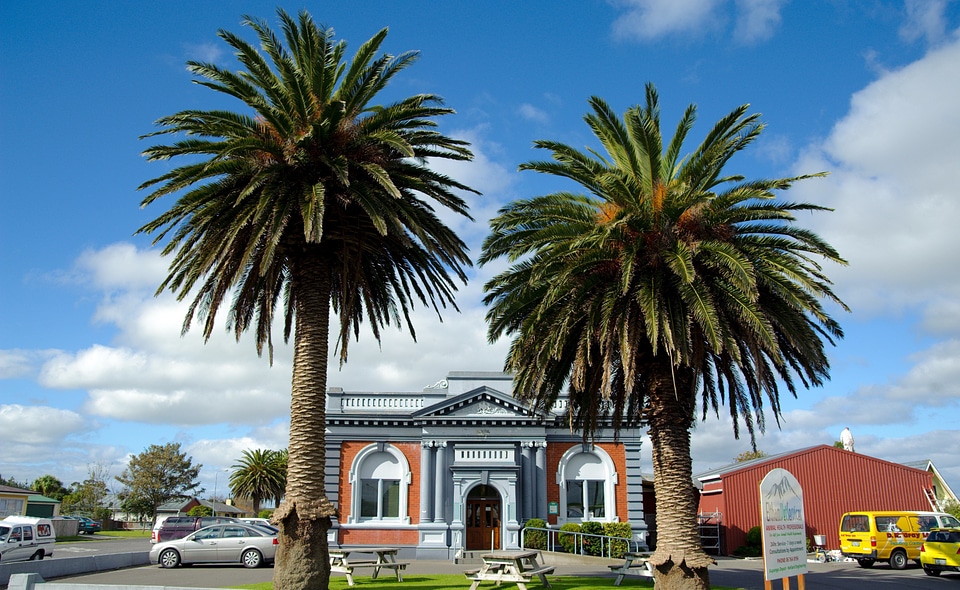 Palms palm trees building