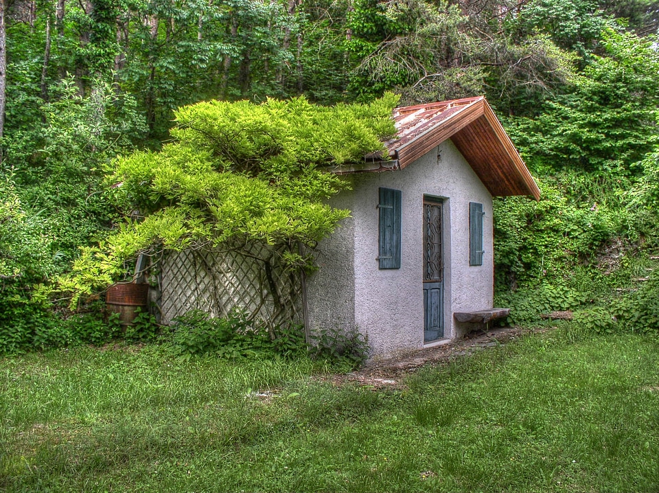 Trees scene green house