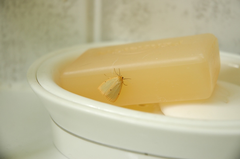 Bathsoap bathroom clean