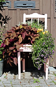 Decorative floral bloom