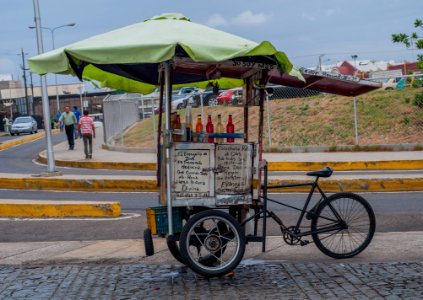 Carrito de cepillao frente a la Basilica