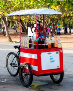 Ice cream truck selling brushed