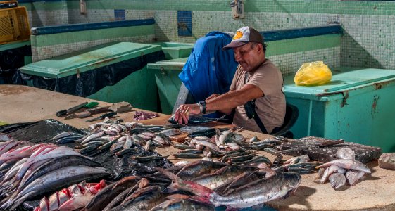 Fishmonger fish cleaning 9
