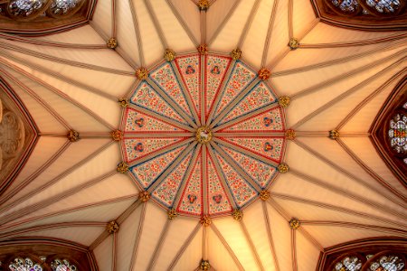York Minster Chapter House Ceiling photo