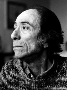 Wessel Couzijn (1980)