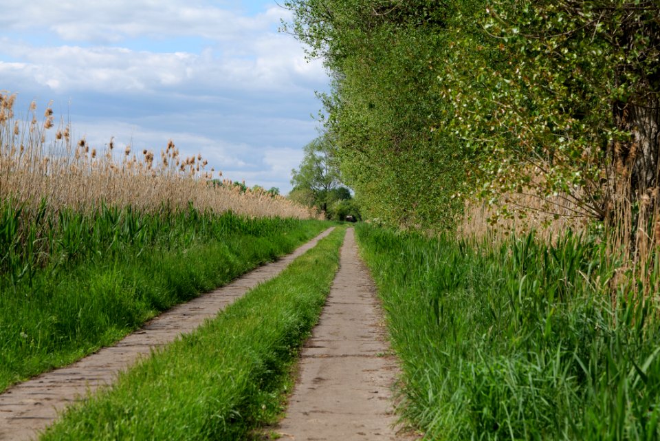 Track in Nauen 2020-05-15 08