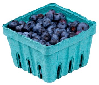 Blueberries-In-Pack