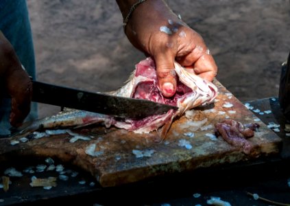Gutting fish in Isla Margarita photo