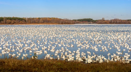 Parc du rservoir Beaudet