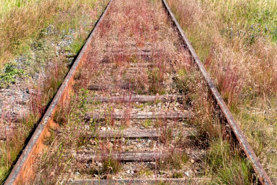 Overgrown Lysekil line 2