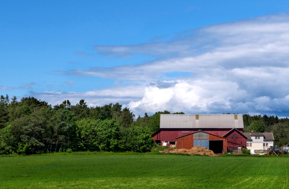 Gseberg Sheep Farm