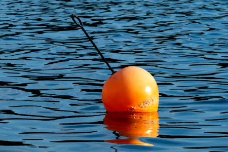 Orange buoy in water photo