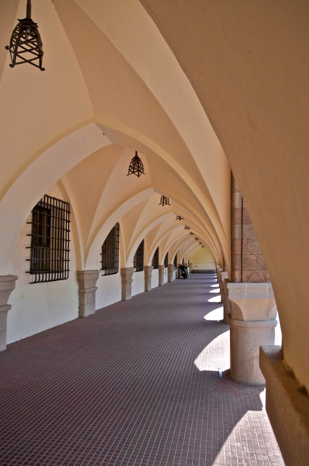 Vault perspective Rhodes