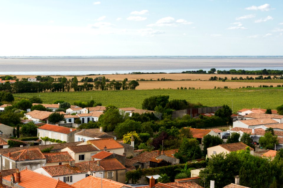 Baie aiguillon glise Marsilly Charente-Maritime-2