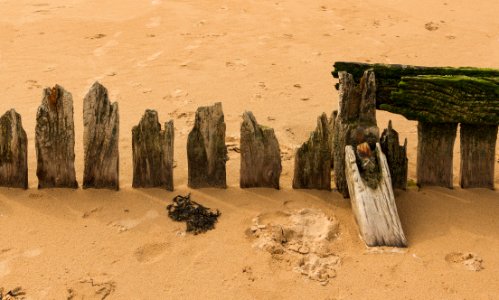 Omaha Beach sand stabilization