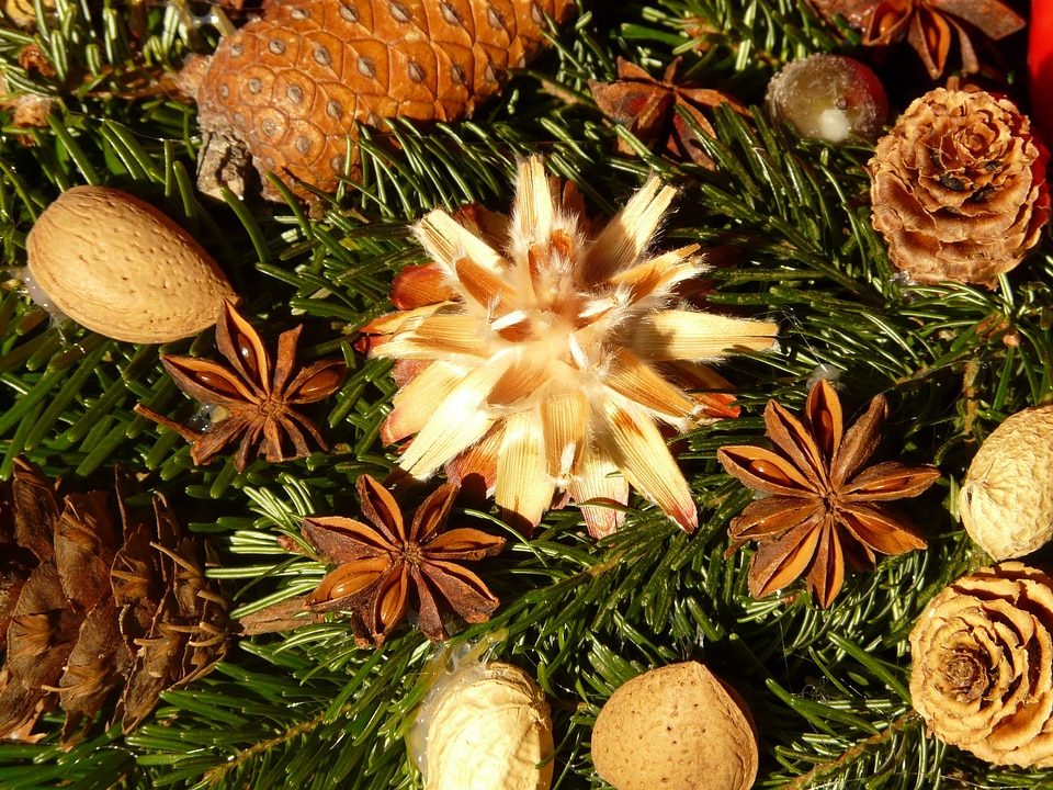 Silver seed dried flowers decoration