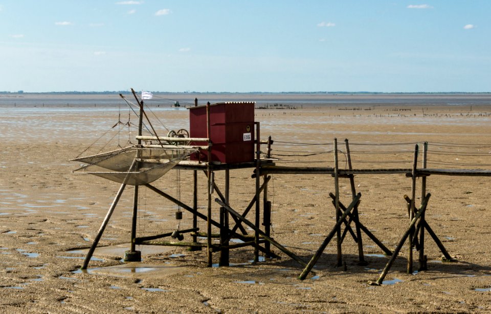 Carrelet, Esnandes, Charente-Maritime, august 2015