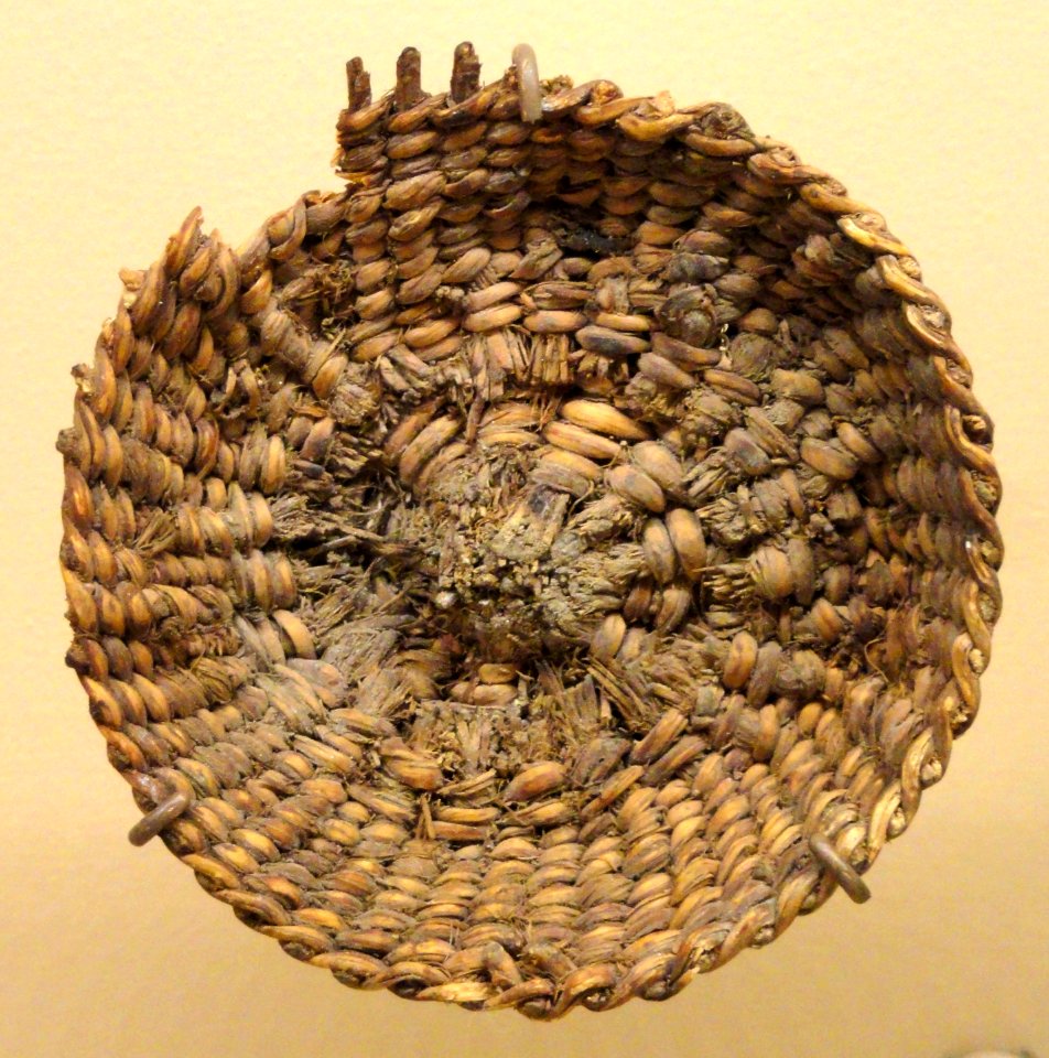 Close-coiled basket fragment, 7840-1870 BC, Danger Cave, Utah, plant material - Natural History Museum of Utah