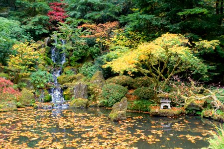 Heavenly Falls - Portland Japanese Garden - Portland, Oregon