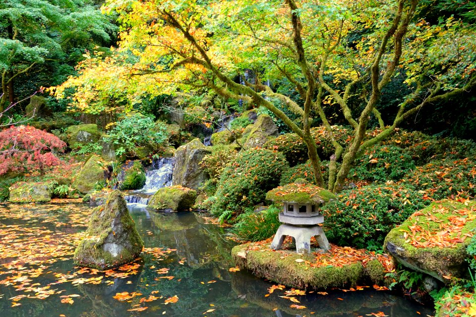 Heavenly Falls - Portland Japanese Garden