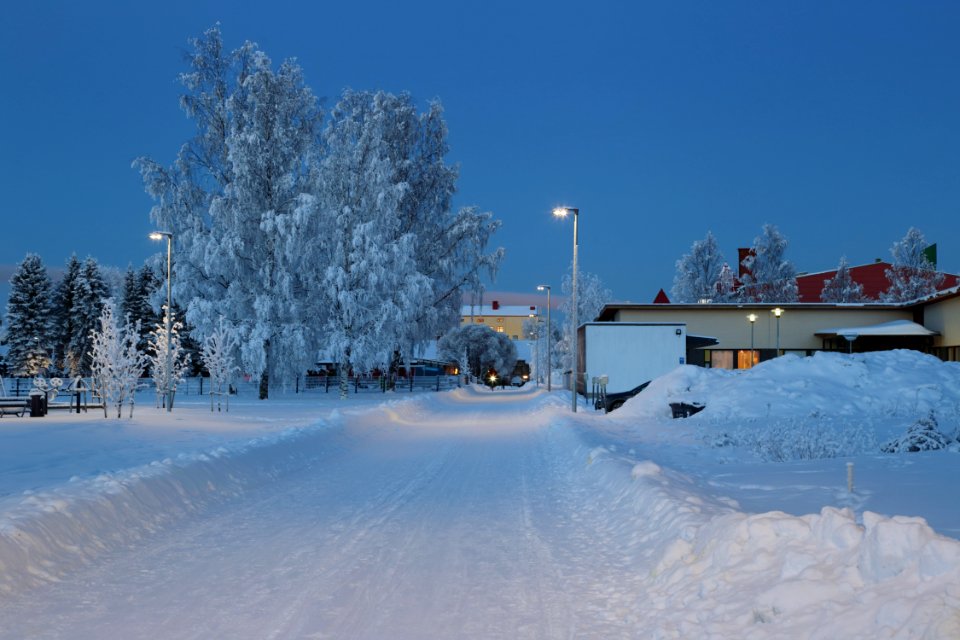 Hollihaka Park Oulu 20190123 02