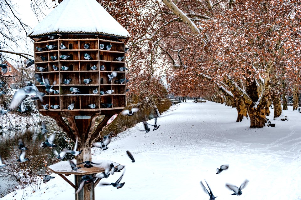 Taubenturm-mit-Schnee