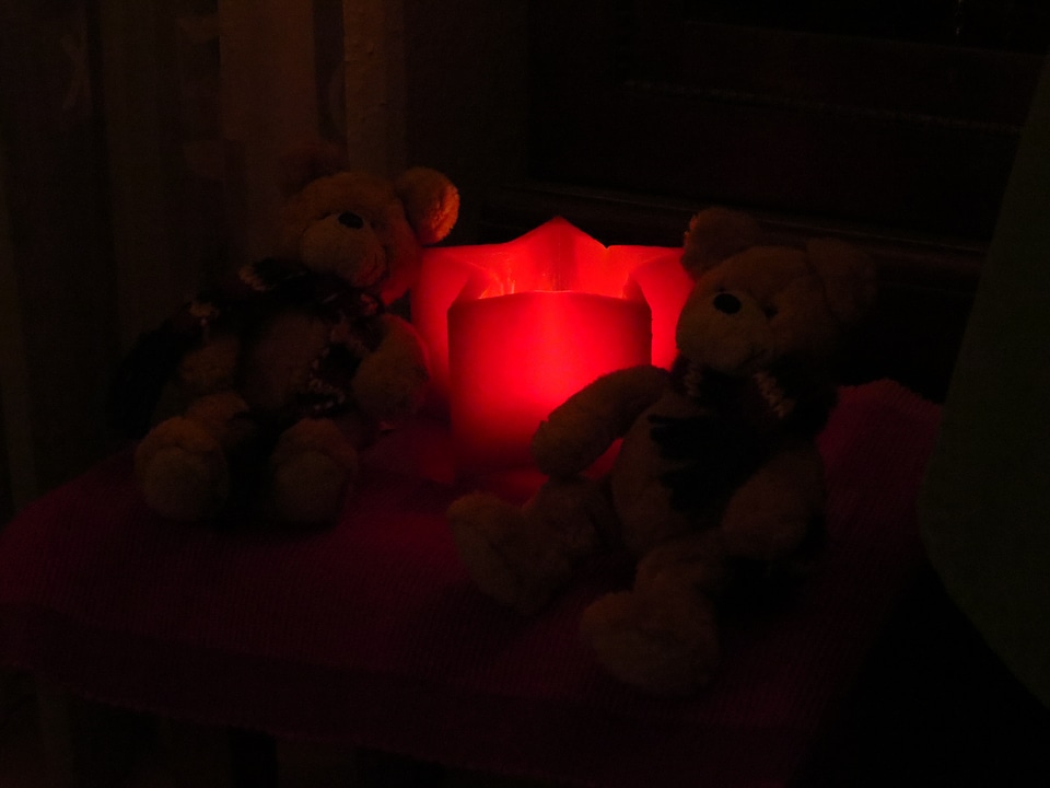 Glow teddy bears dark