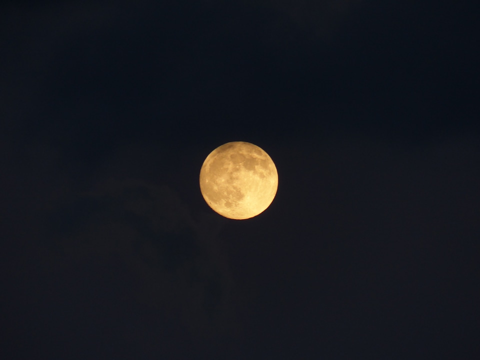 Night moonlight mystical
