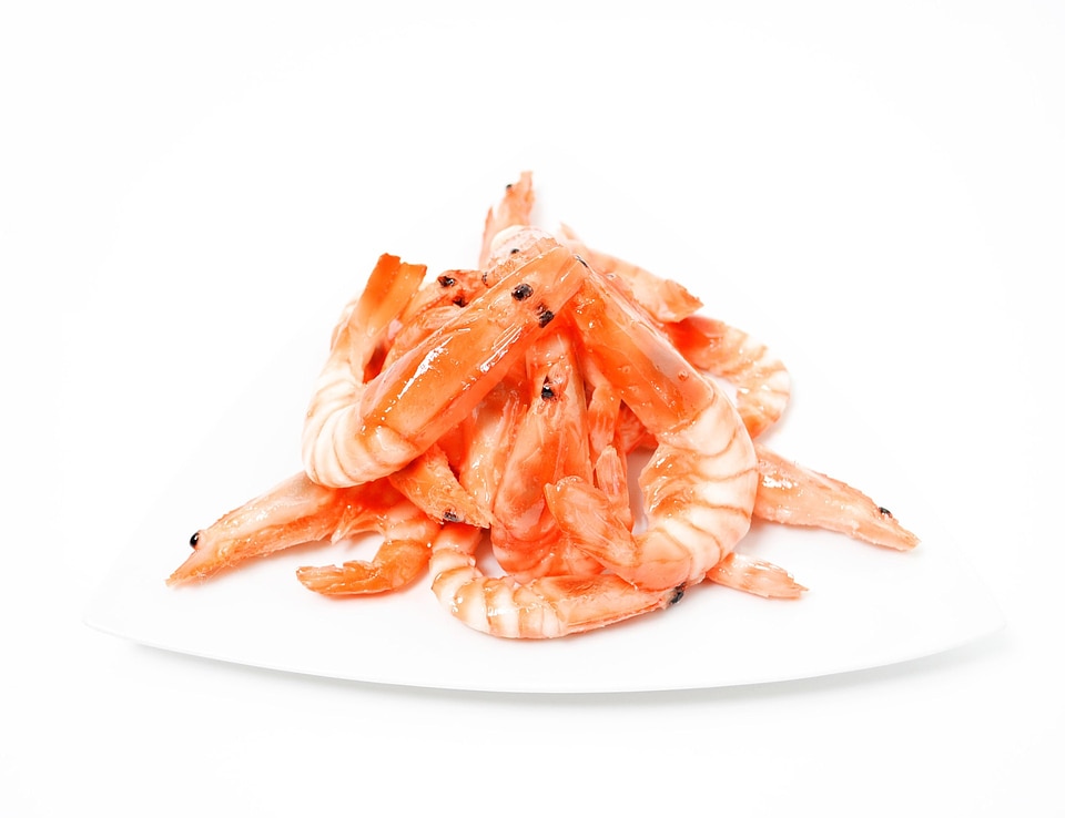 Food fish white back