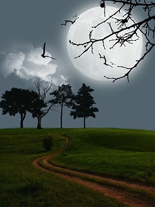 Mystery landscape scene
