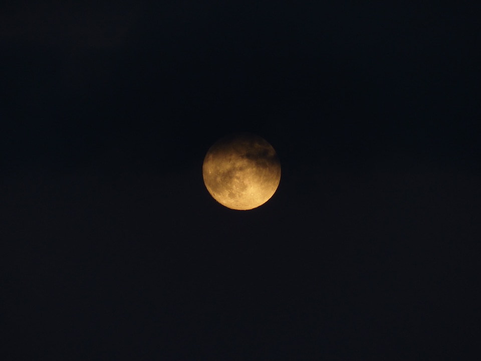 Night moonlight mystical