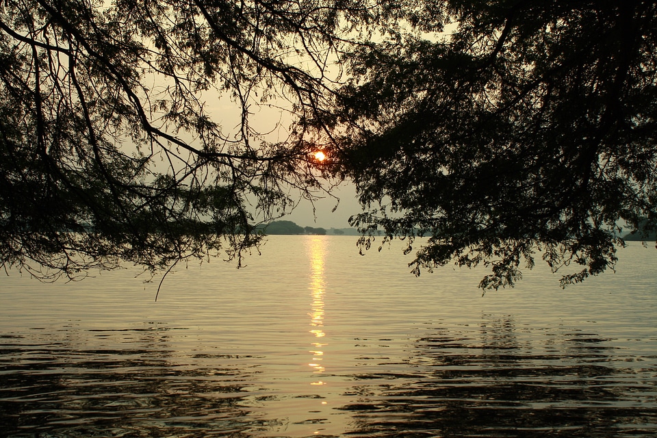 Dawn scenery scenic