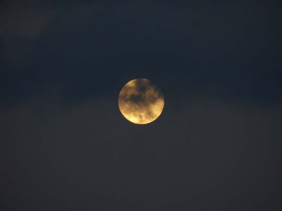 Night moonlight mystical