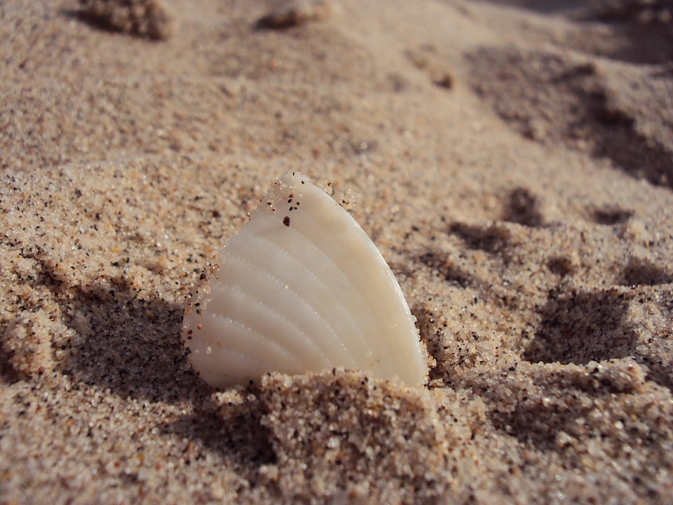 Water red sea sand