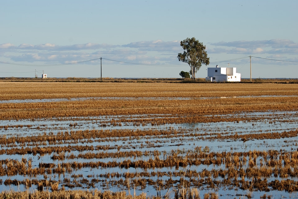 Horizon rural landscape