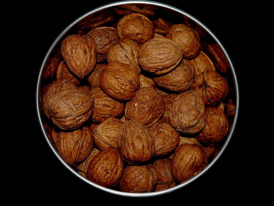 Nuts food eat