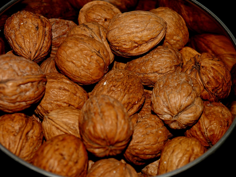 Nuts food eat