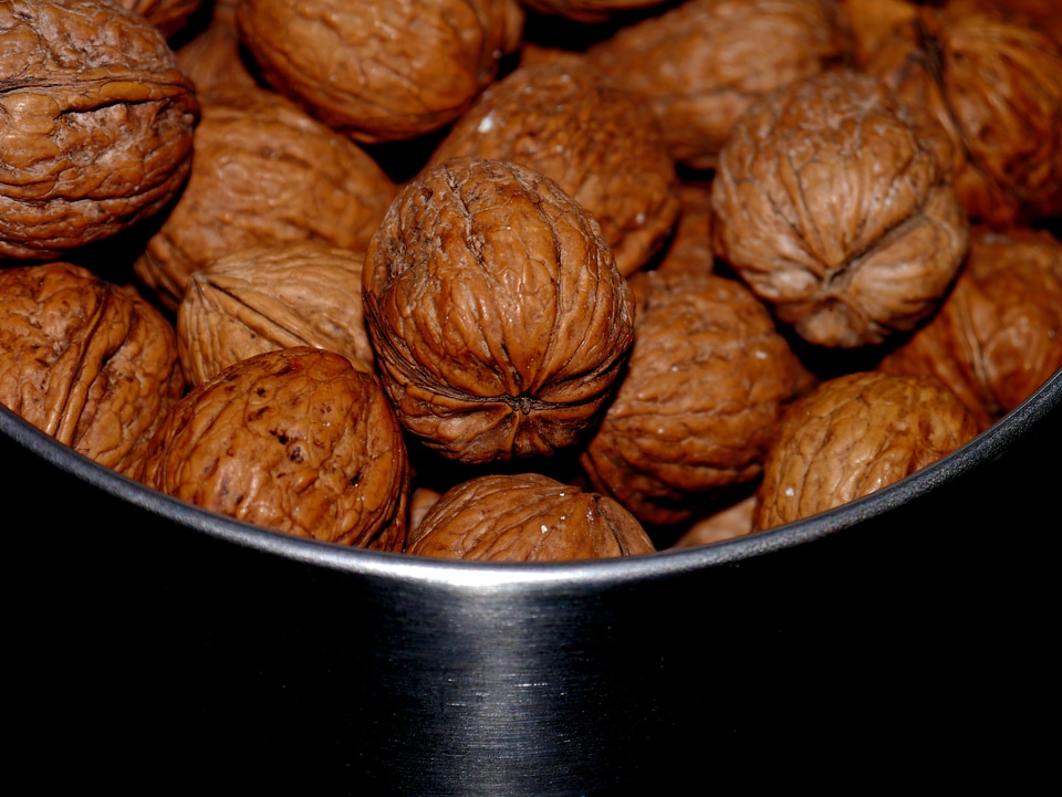 Nuts food eat