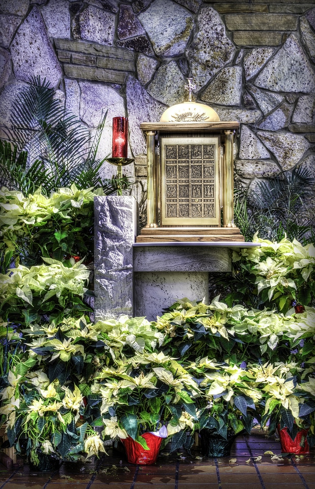 Communion catholic religious