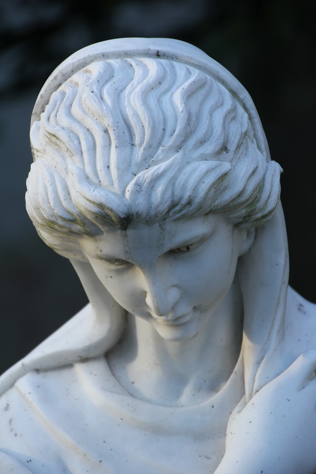 Abbey marie head bust