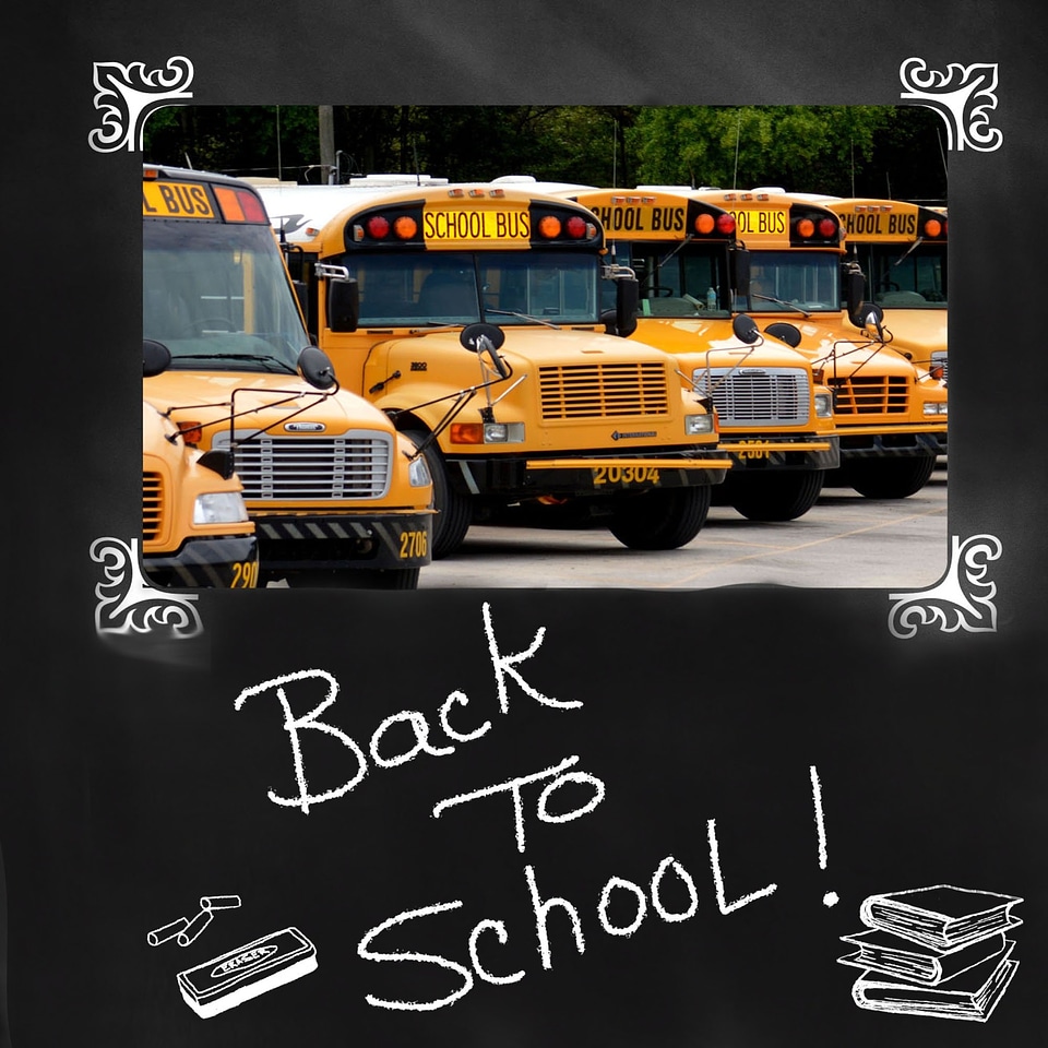 Education yellow elementary