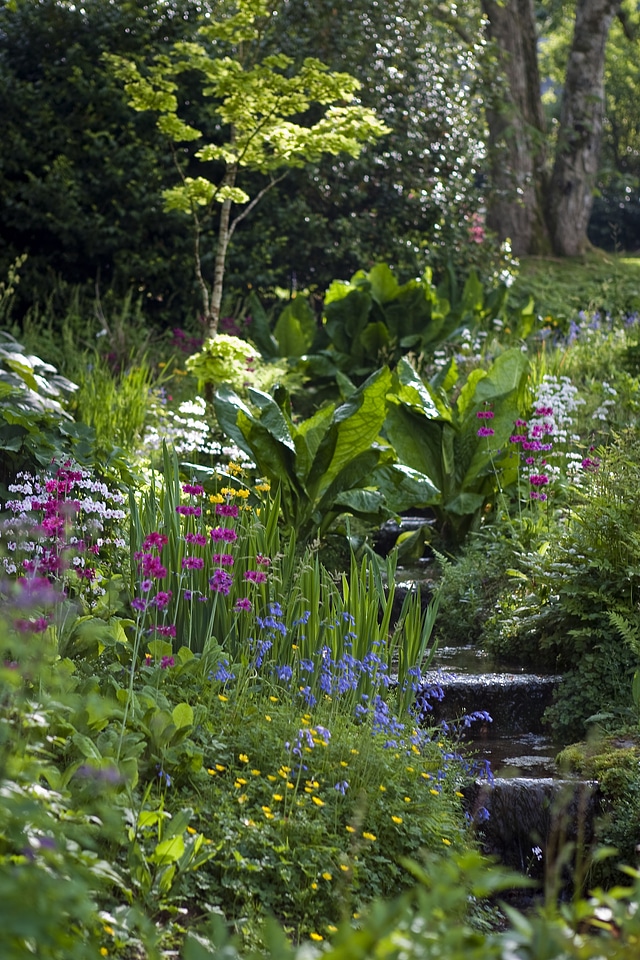 Trees tranquil cotehele house