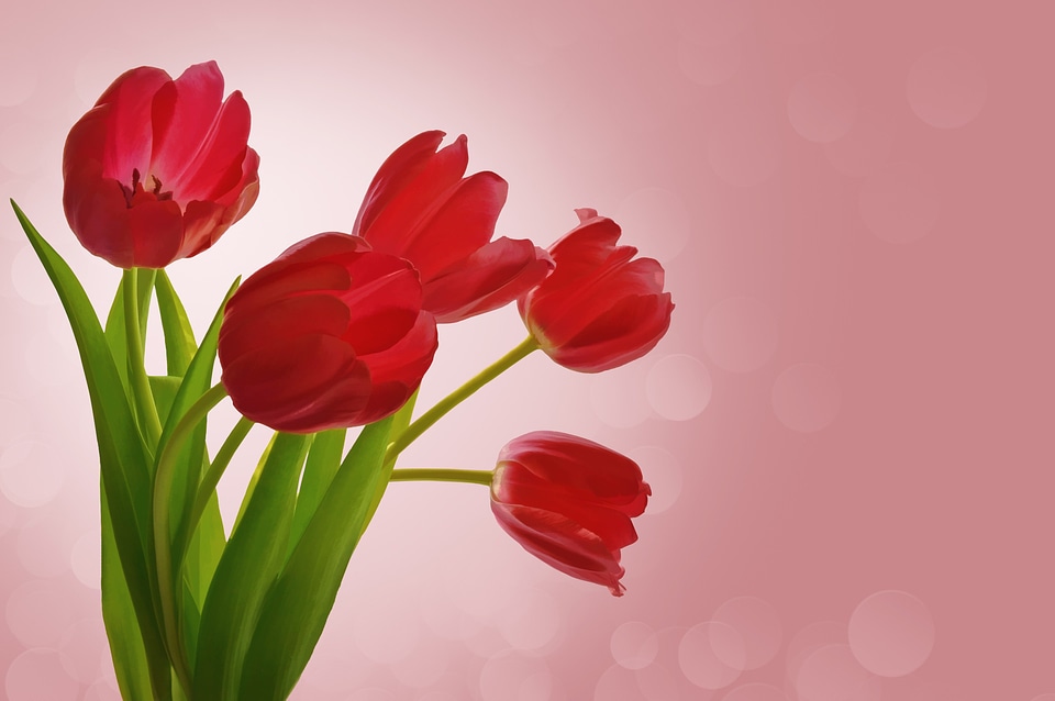 Romance bouquet pink