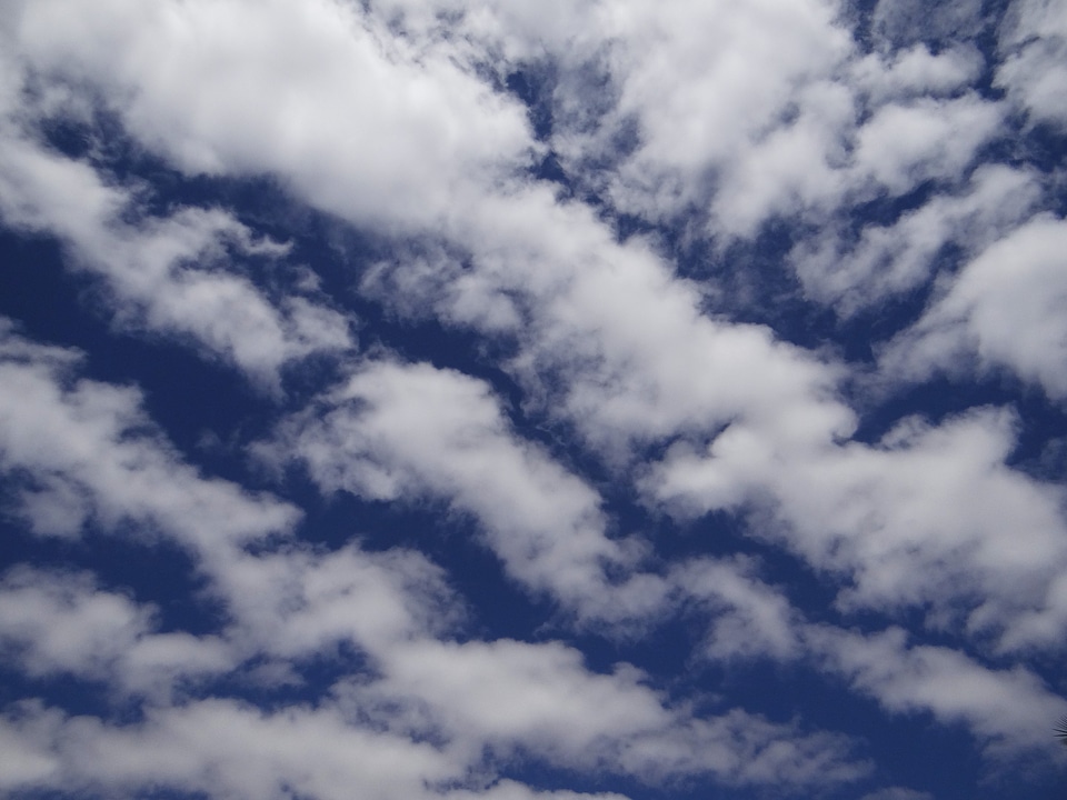 White fluffy cloudscape